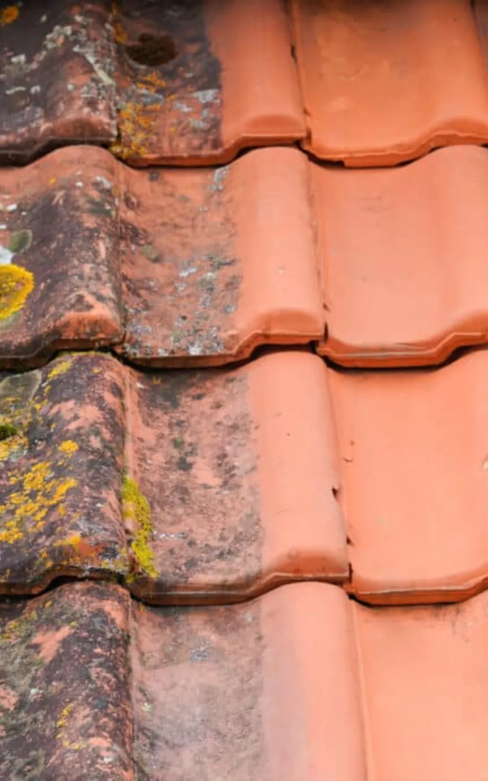 Entreprise de Nettoyage Toiture Angouleme Charente