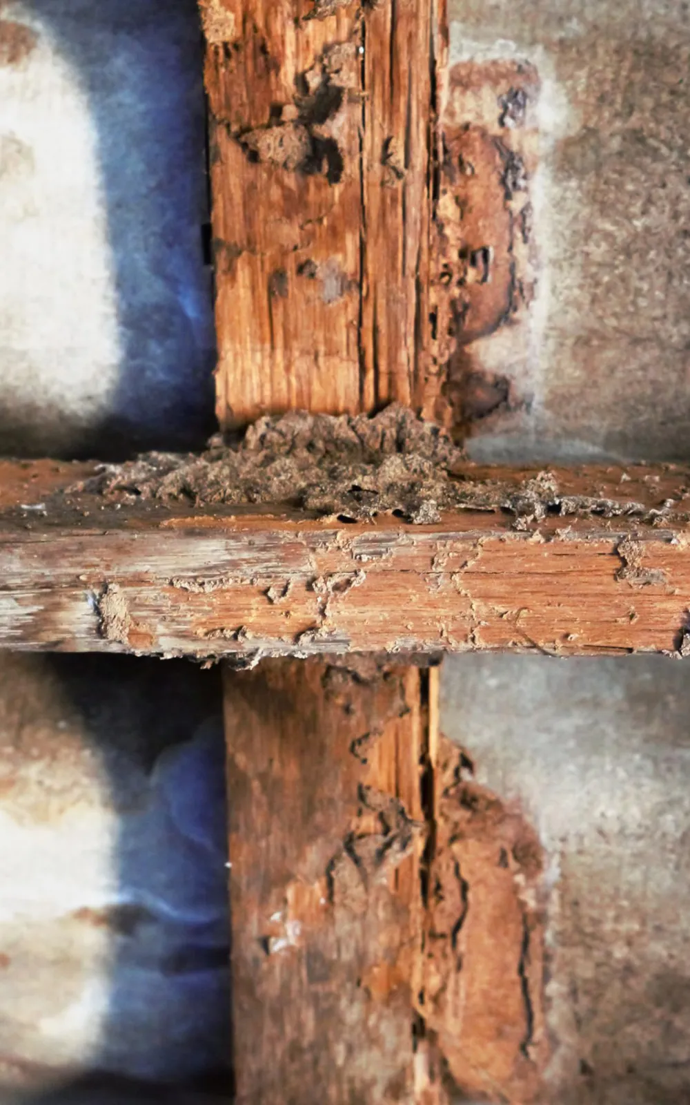 Entreprise Traitement de Charpente Angouleme Charente