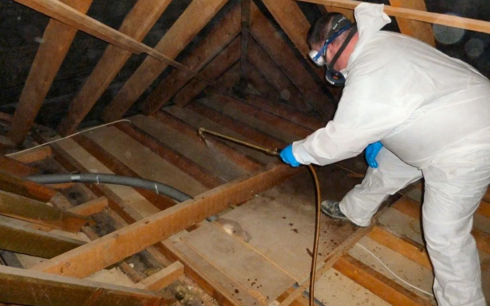 Entreprise Traitement de Charpente Angouleme